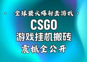 【年底大揭秘】基于全球最火爆的射击CSGO游戏挂G搬砖，日入5张+，震撼公开-川川创富网