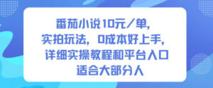 番茄小说10米每单，实拍玩法，0成本好上手，详细实操教程和平台入口适合大部分人-川川创富网