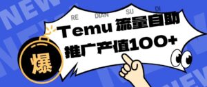 专注于Temu商家提供精准曝光浏览量，助力店铺排名提升和转化，单机日收入80-130【揭秘】-川川创富网