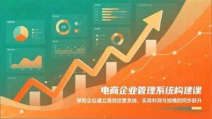 电商企业管理系统构建课：帮助企业建立高效运营系统，实现利润与规模的同步跃升-川川创富网