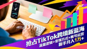 抢占TikTok跨境新蓝海：流量逻辑+变现方式+账号运营，新手月入1万+-川川创富网
