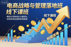 电商战略与管理落地班线下课,教你公司如何从小做到大,如何实现业绩和利润倍增【录音】-川川创富网