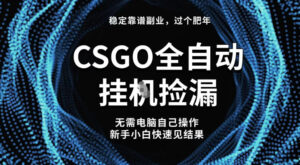 【稳定副业】全球最热门游戏CSGO全自动捡漏，最新玩法，新手小白日入5张+【揭秘】-川川创富网