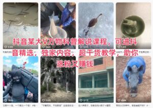 抖音某大V万物科普解说课程，可进抖音精选，独家内容，超干货教学，助你涨粉又賺钱-川川创富网