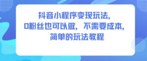 抖音小程序变现玩法，0粉丝也可以做，不需要成本，简单的玩法教程-川川创富网