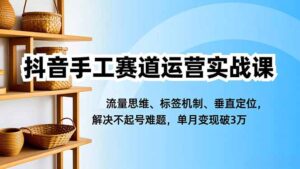 抖音手工赛道运营实战课，流量思维、标签机制、垂直定位，解决不起号难题，单月变现破3万-川川创富网