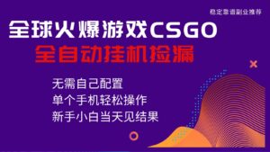 火爆游戏CSGO全自动捡漏，独家最新玩法，单个手机可操作，新手小白日入500+-川川创富网