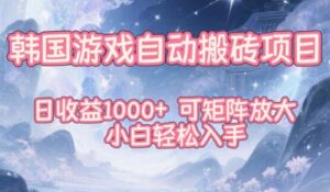 韩国游戏自动搬砖项目，日收益1k+，可矩阵放大，小白轻松入手【揭秘】-川川创富网
