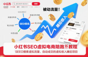 小红书SEO虚拟电商陪跑教程，实现seo搜索被动流量，自动成交的被动收入睡后项目-川川创富网