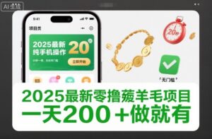 2025最新零撸薅羊毛项目，纯手机操作，20秒一单，无任何门槛，一天200+做就有【揭秘】-川川创富网