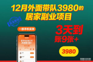 12月外面带队3980的居家副业项目，一部手机实测3天到账9张+，首发教程【揭秘】-川川创富网