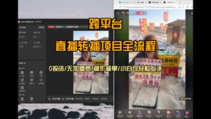 直播转播 每天每台电脑200+ 操作简单每天几分钟 小白两天上手-川川创富网