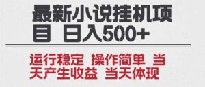 2025全新小说挂机项目 年前吃肉 操作简单,单机当天收益1000+,收益无上限,可矩阵操作-川川创富网