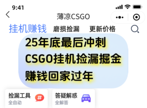 用CSGO游戏挂机捡漏掘金赚钱掘金,一部手机轻松日入500+-川川创富网