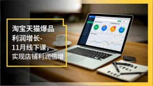 淘宝天猫爆品利润增长-11月线下课,免费流量、付费放大、费比管控,实现店铺利润倍增-川川创富网