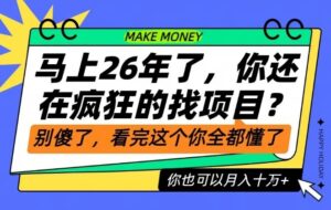 26年了，不要再疯狂的找项目了，看完这个你也可以月入十个W【揭秘】-川川创富网