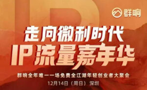 2025ip嘉年华万人12月14深圳线下课，走向微利时代，IP流量嘉年华，实操性极强的商业干货课-川川创富网