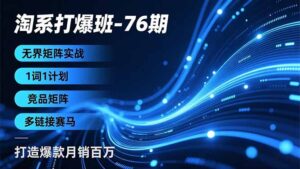 淘系打爆班-76期,无界矩阵实战,1词1计划、竞品矩阵、多链接赛马,打造爆款月销百万-川川创富网