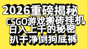 2026开年重磅解密,CSGO游戏搬砖挂G日入1k+的秘密,把倒狗的底裤扒干【揭秘】-川川创富网