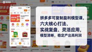 拼多多可复制盈利模型课，六大核心打法、实战复盘、灵活应用，模型清晰，稳定产出高利润-川川创富网