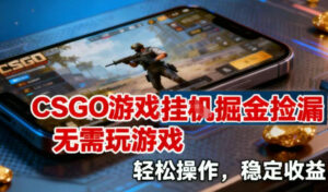 CSGO游戏挂G掘金捡漏，不需要玩游戏，操作简单，收益稳定【揭秘】-川川创富网