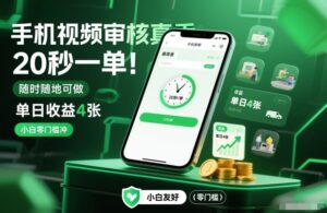 手机视频审核真香！20秒一单，随时随地可做，单日收益4张，小白零门槛冲【揭秘】-川川创富网