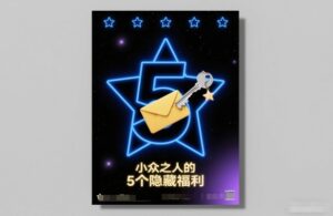 付费文章：小众之人的5个隐藏福利-川川创富网