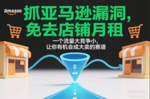 抓亚马逊漏洞，免去店铺月租，一个流量大竞争小，让你有机会成大卖的赛道-川川创富网