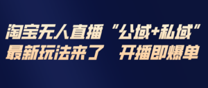 淘宝无人直播最新玩法，包含私域和公域两种玩法-川川创富网
