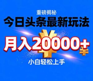 今日头条代运营最新玩法，轻轻松松月入20000＋-川川创富网