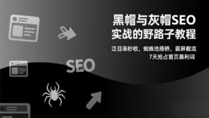 黑帽与灰帽SEO实战的野路子教程：泛目录秒收，蜘蛛池搭桥，霸屏截流，7天抢占首页暴利词-川川创富网