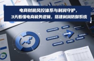 电商财税风控体系与利润守护，3天看懂电商税务逻辑，搭建利润防御系统-川川创富网