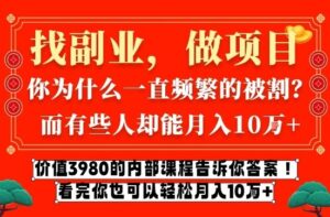 价值3980的网创内部课程，告诉你互联网创业月入10个W的秘密【揭秘】-川川创富网