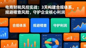 电商财税风控实战：3天构建合规体系，规避稽查风险，守护企业核心利润-川川创富网