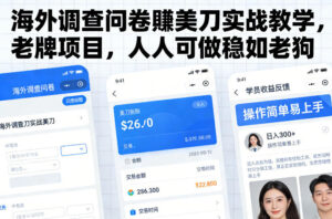 海外调查问卷賺美刀实战教学,老牌项目,人人可做稳如老狗-川川创富网