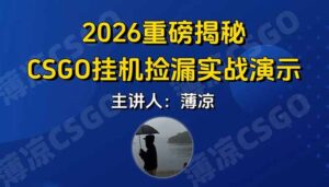 CSGO游戏挂机游戏搬砖最新升级，普通小白一部手机可日入300+当天见结果，支持验证-川川创富网