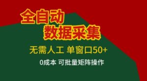 全自动数据采集项目，无需人工，单窗口可达50+收益，操作简单无难度，一个人也能轻松实现矩阵【揭秘】-川川创富网