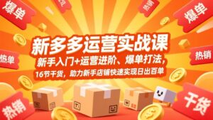 拼多多运营实战课，新手入门+运营进阶、爆单打法，16节干货，助力新手店铺快速实现日出百单-川川创富网