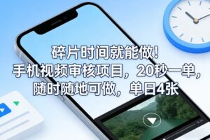 碎片时间就能做！手机视频审核项目，20秒一单，随时随地可做，单日4张+【揭秘】-川川创富网
