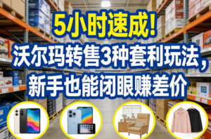 5小时速成!沃尔玛转售3种套利玩法,新手也能闭眼賺差价-川川创富网