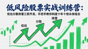 低风险股票实战训练营:低估分散排雷三箭齐发,手把手教你构建十年十倍永续组合-川川创富网