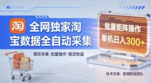全网独家，淘宝数据全自动采集项目，批量可矩阵，单机轻松日入300【揭秘】-川川创富网