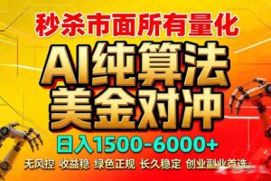 2026全网首发黑马项目，AI美金算法对冲，日入2000-6000+，稳定长效0风险，彻底告别996死工资-川川创富网
