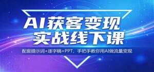 AI获客变现实战线下课:配套提示词+逐字稿+PPT,手把手教你用AI做流量变现-川川创富网