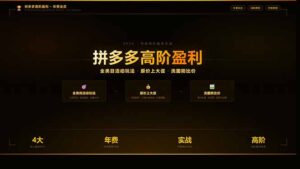 拼多多高阶盈利年费会员:全类目活动玩法、原价上大促、洗图防比价等核心盈利技术(更新26年3月-川川创富网