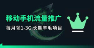 手机流量领取推广_每月一轮，刚需类的长期项目-川川创富网