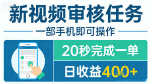新视频审核任务，一部手机即可操作，20秒完成一单，日收益4张+【揭秘】-川川创富网
