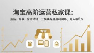 淘宝高阶运营私家课(更新26年4月-川川创富网