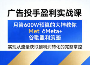 广告投手盈利实战课，月管600W预算的大神教你Meta+谷歌盈利策略，实现从流量获取到利润转化的完整掌控-川川创富网