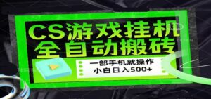 CSGO游戏挂机捡漏搬砖,超稳定的项目,带领1000+小白实现日入500+-川川创富网
